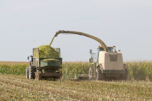 silage