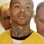 nikko jenkins