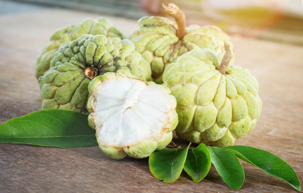 Custard Apple Is Good For Men's Health