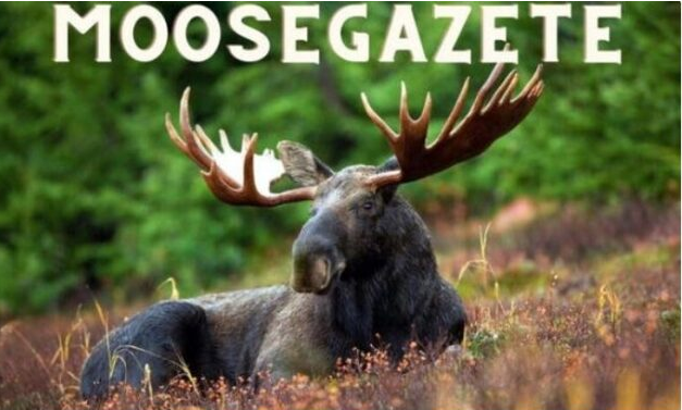 Moosegazete – What is this mysterious animal?