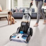 The Top Carpet Cleaning Services Companies for Pet Owners