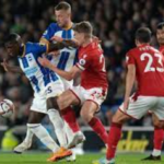 brighton vs nottm forest